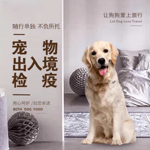 定西市宠物托运到哥伦比亚猫狗宠物入境规定和
