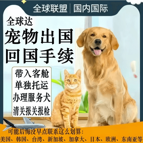 定西市宠物托运到柬埔寨宠物入境规定和要求