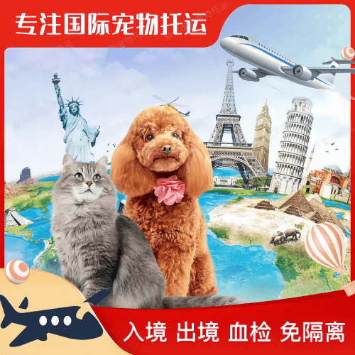 定西市宠物托运到美国宠物入境最新规定和要求
