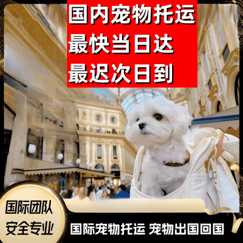 定西市到澳大利亚（澳洲）宠物入境规定和要求
