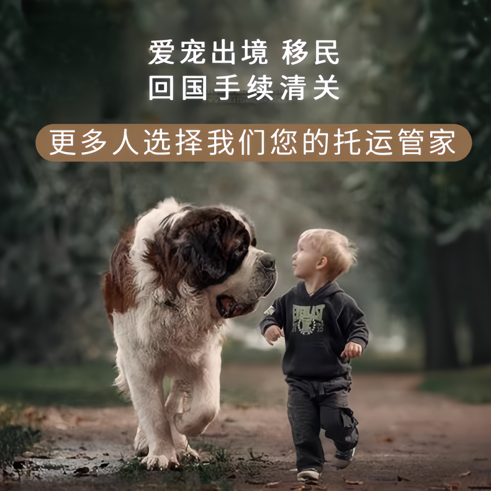 满财定西市宠物全球达宠物托运在遵守入境目的地政策的条件
