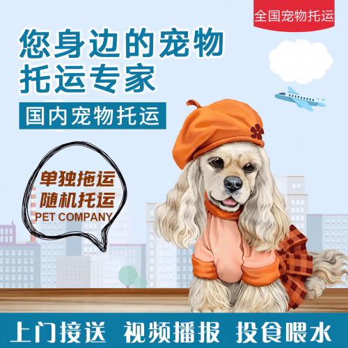 满财定西市宠物全球达宠物托运作为专业的宠物运输代理机构